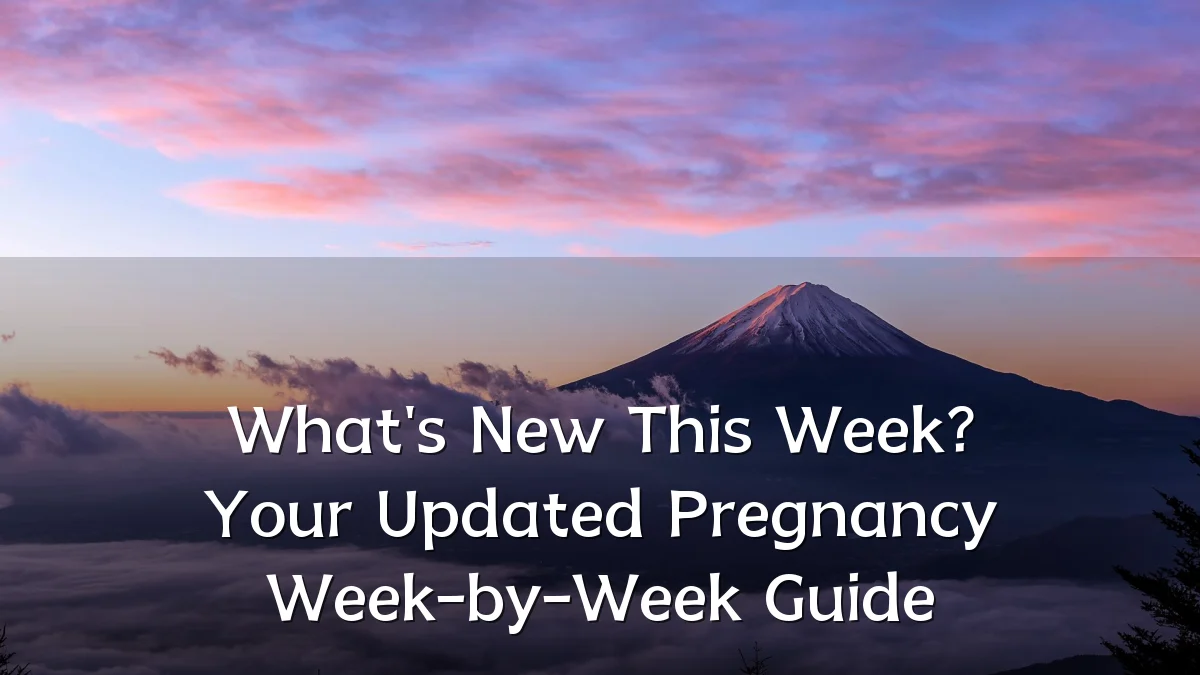 What's New This Week? Your Updated Pregnancy Week-by-Week Guide