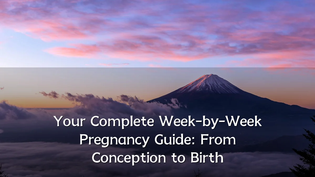 Your Complete Week-by-Week Pregnancy Guide: From Conception to Birth