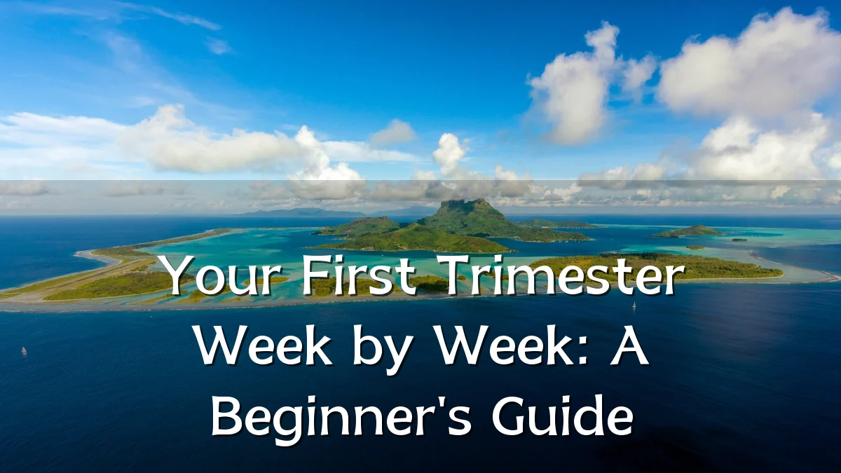 Your First Trimester Week by Week: A Beginner's Guide