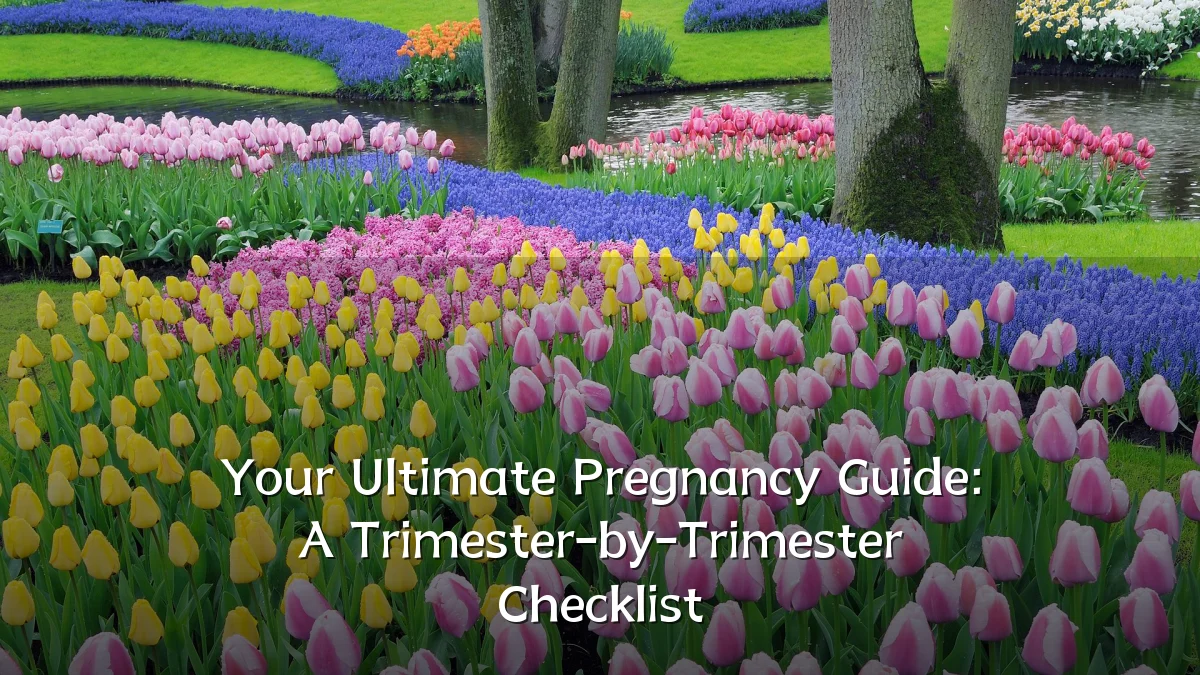 Your Ultimate Pregnancy Guide: A Trimester-by-Trimester Checklist