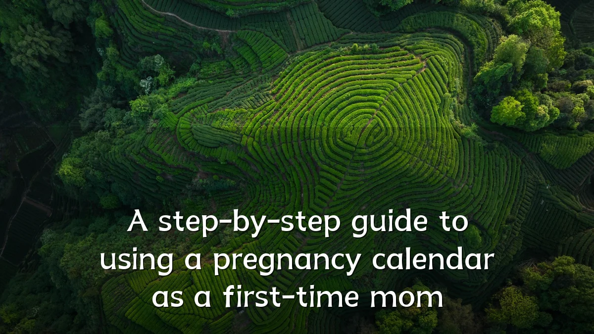 A step-by-step guide to using a pregnancy calendar as a first-time mom