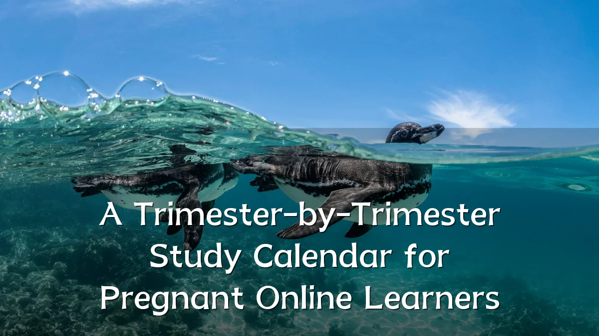 A Trimester-by-Trimester Study Calendar for Pregnant Online Learners