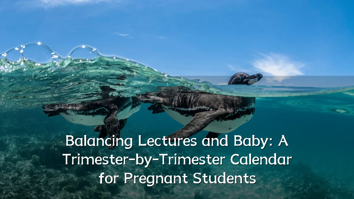 Balancing Lectures and Baby: A Trimester-by-Trimester Calendar for Pregnant Students