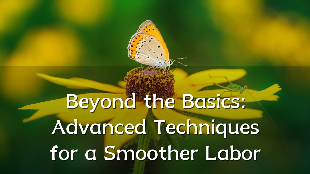 Beyond the Basics: Advanced Techniques for a Smoother Labor