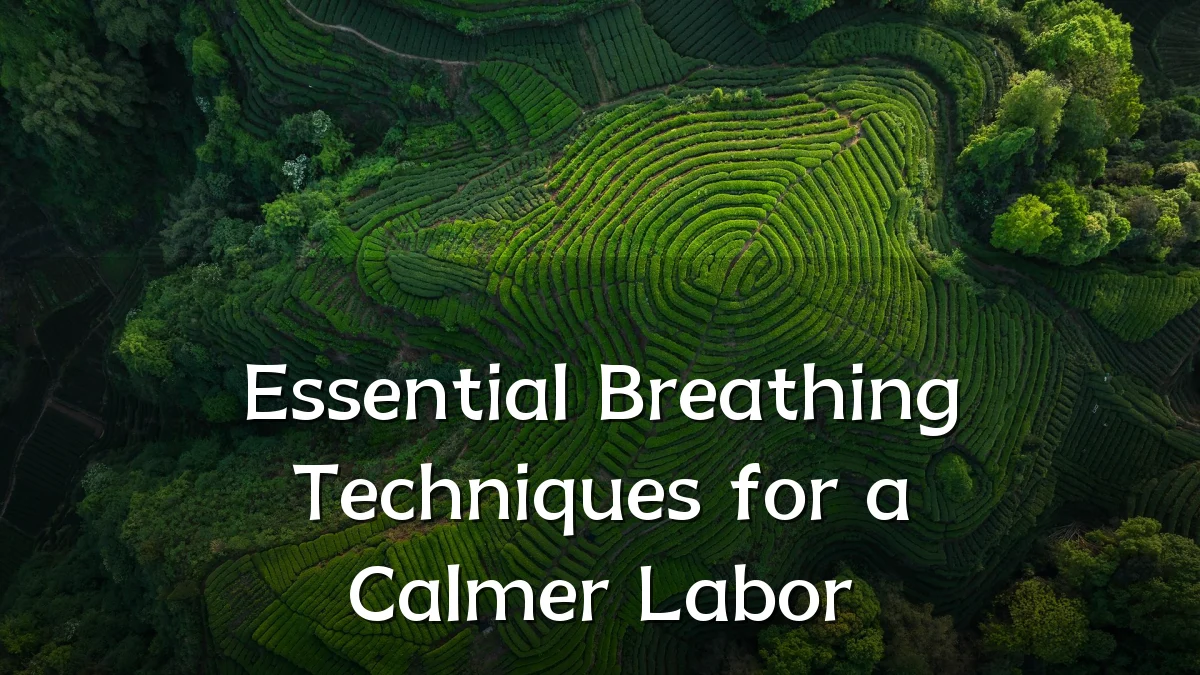 Essential Breathing Techniques for a Calmer Labor