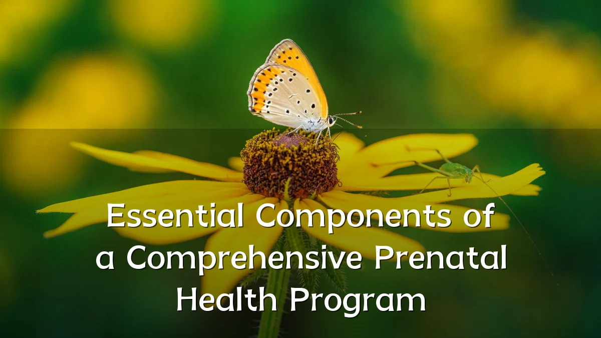 Essential Components of a Comprehensive Prenatal Health Program