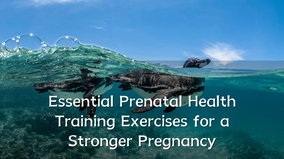 Essential Prenatal Health Training Exercises for a Stronger Pregnancy