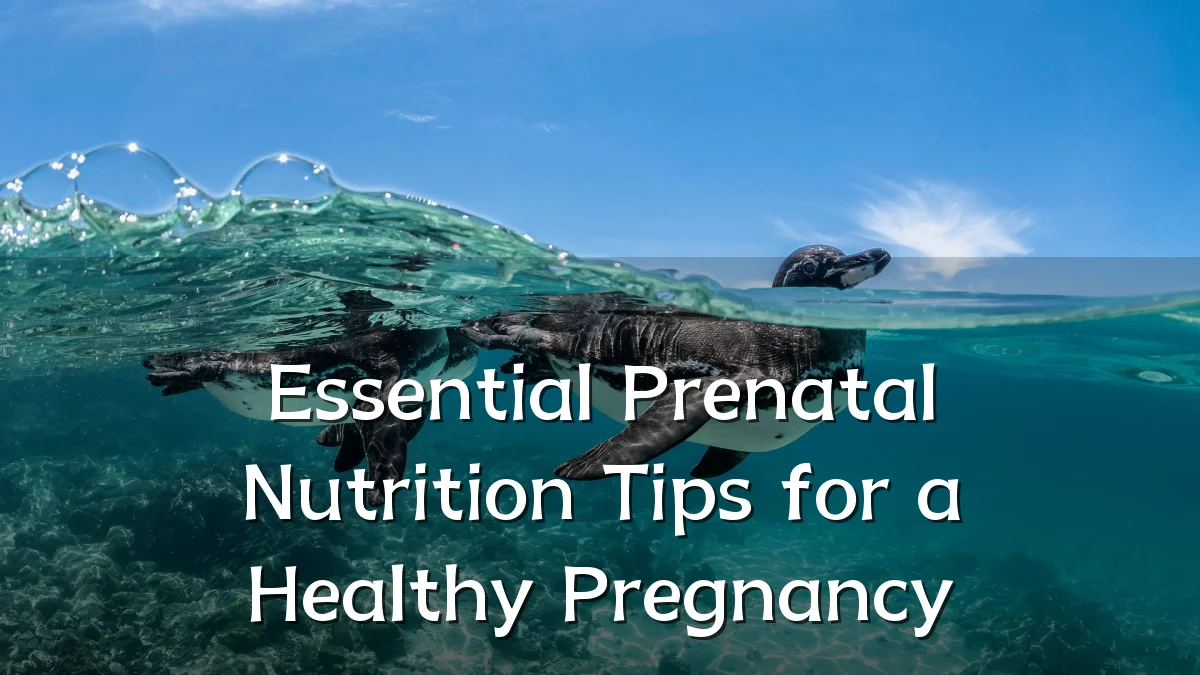 Essential Prenatal Nutrition Tips for a Healthy Pregnancy