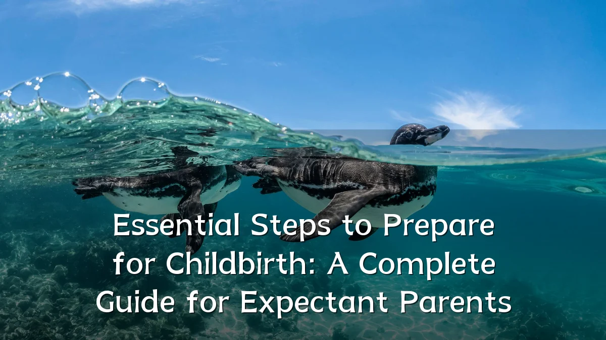 Essential Steps to Prepare for Childbirth: A Complete Guide for Expectant Parents