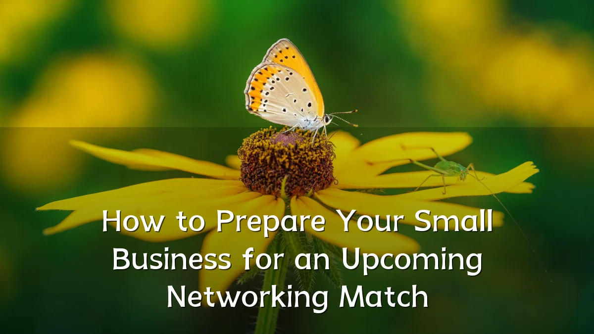 How to Prepare Your Small Business for an Upcoming Networking Match