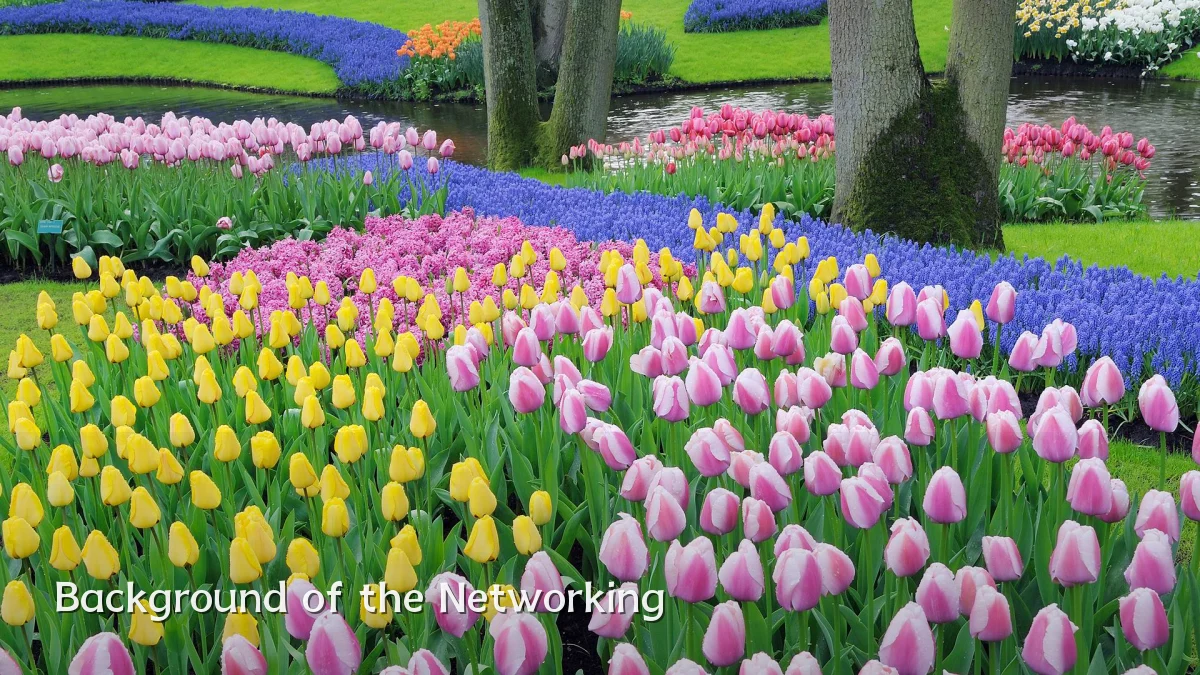 Background of the Networking