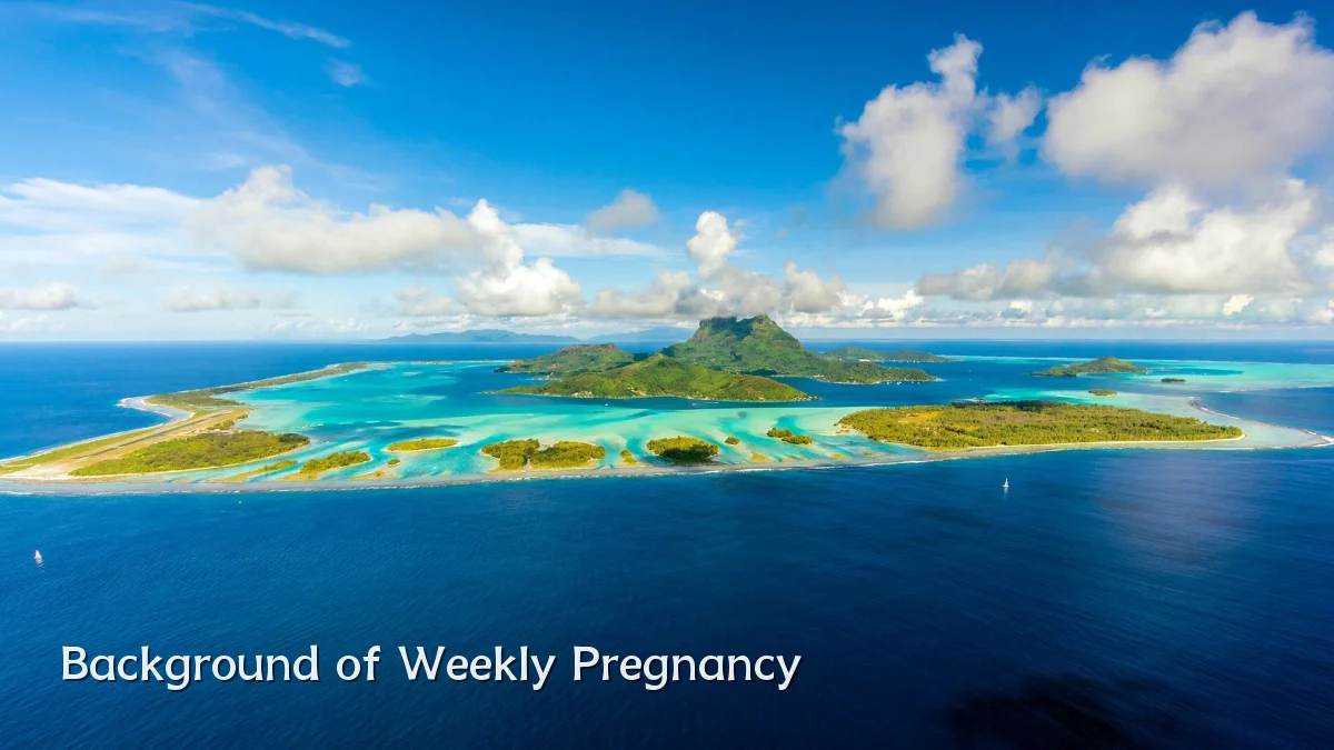 Background of Weekly Pregnancy