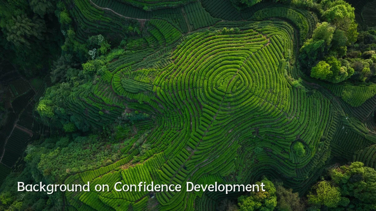 Background on Confidence Development