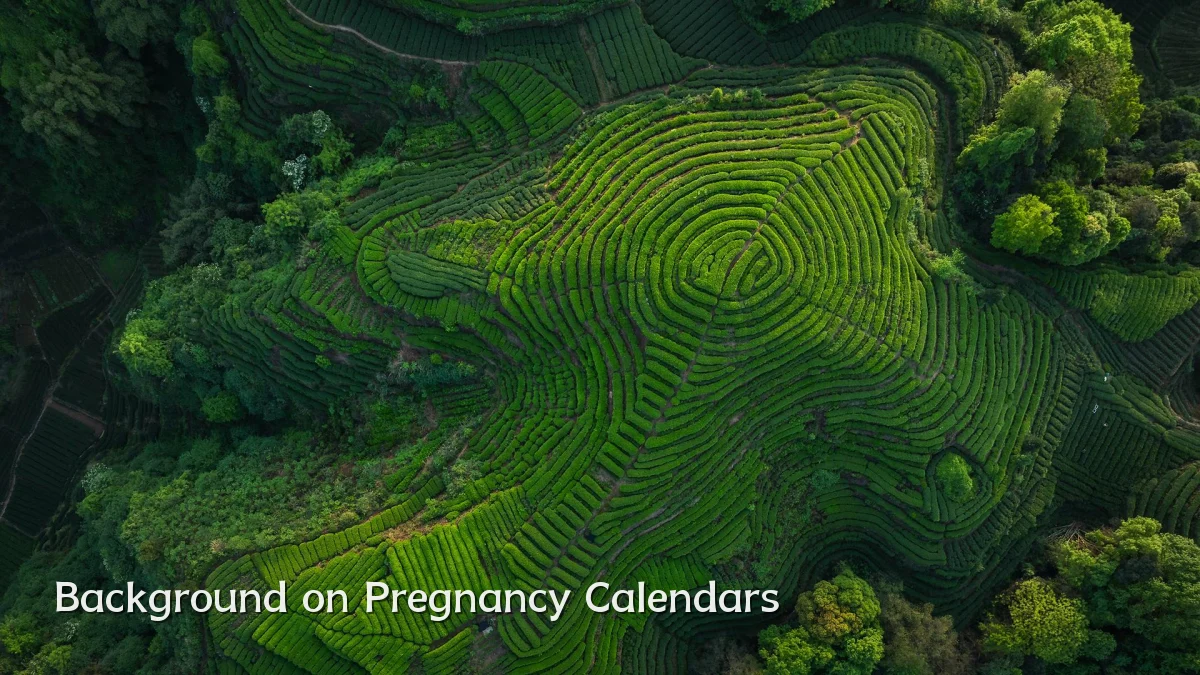 Background on Pregnancy Calendars