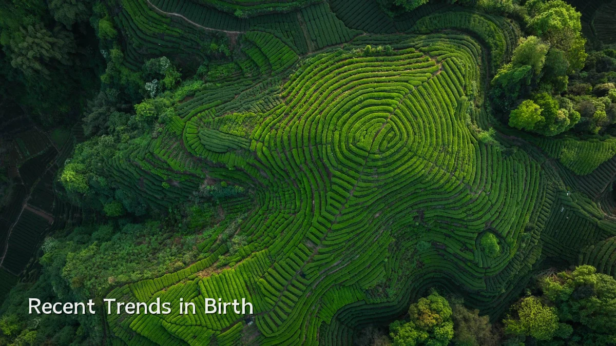Recent Trends in Birth