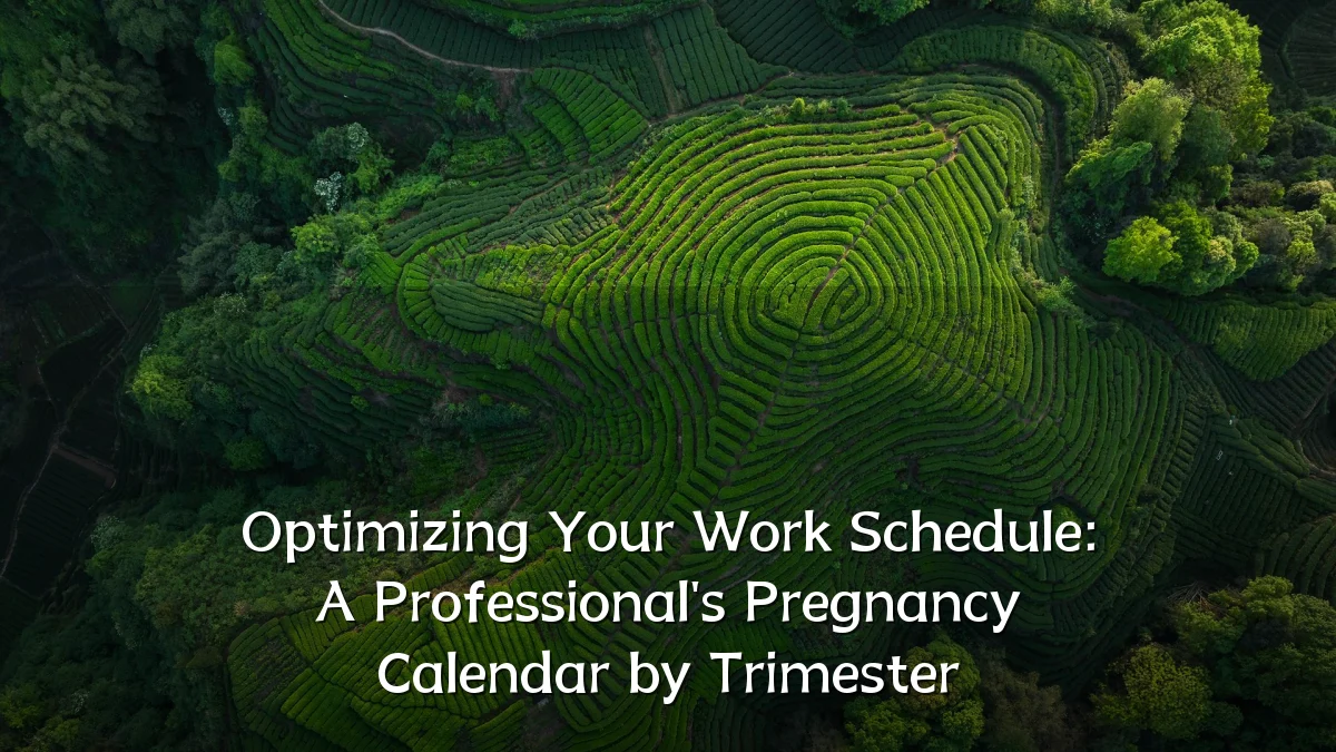 Optimizing Your Work Schedule: A Professional's Pregnancy Calendar by Trimester