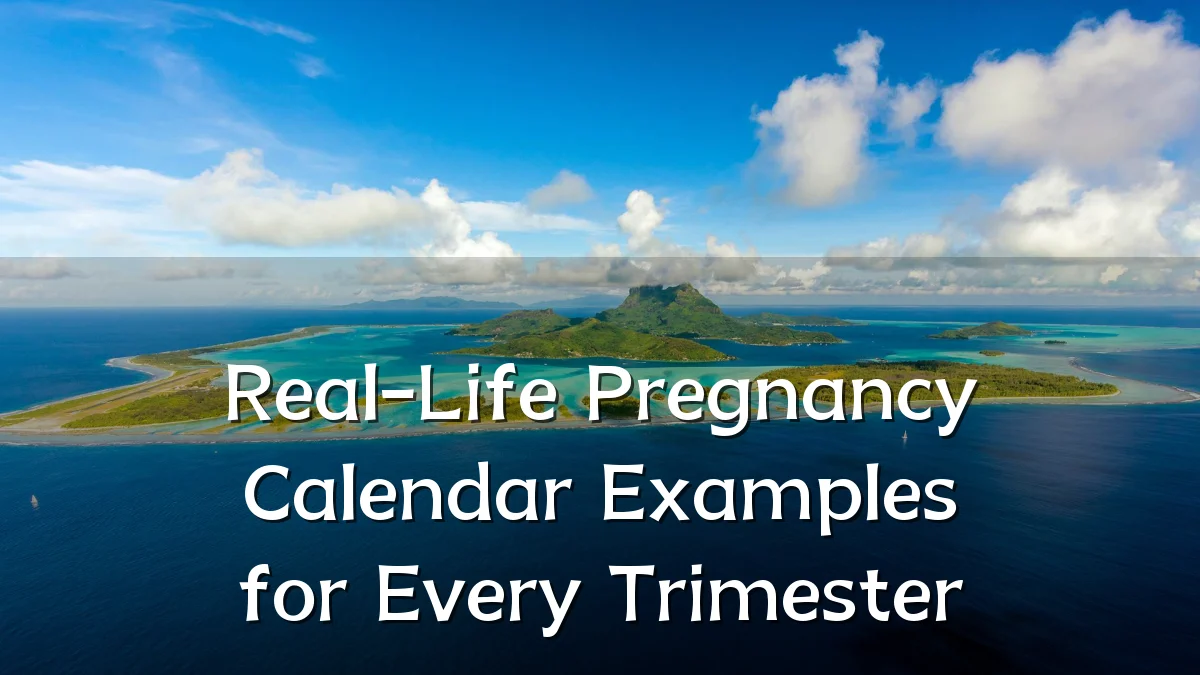 Real-Life Pregnancy Calendar Examples for Every Trimester