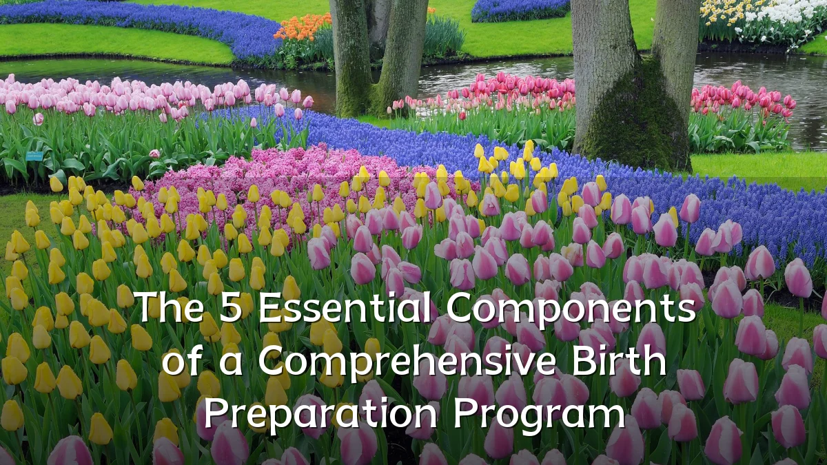 The 5 Essential Components of a Comprehensive Birth Preparation Program