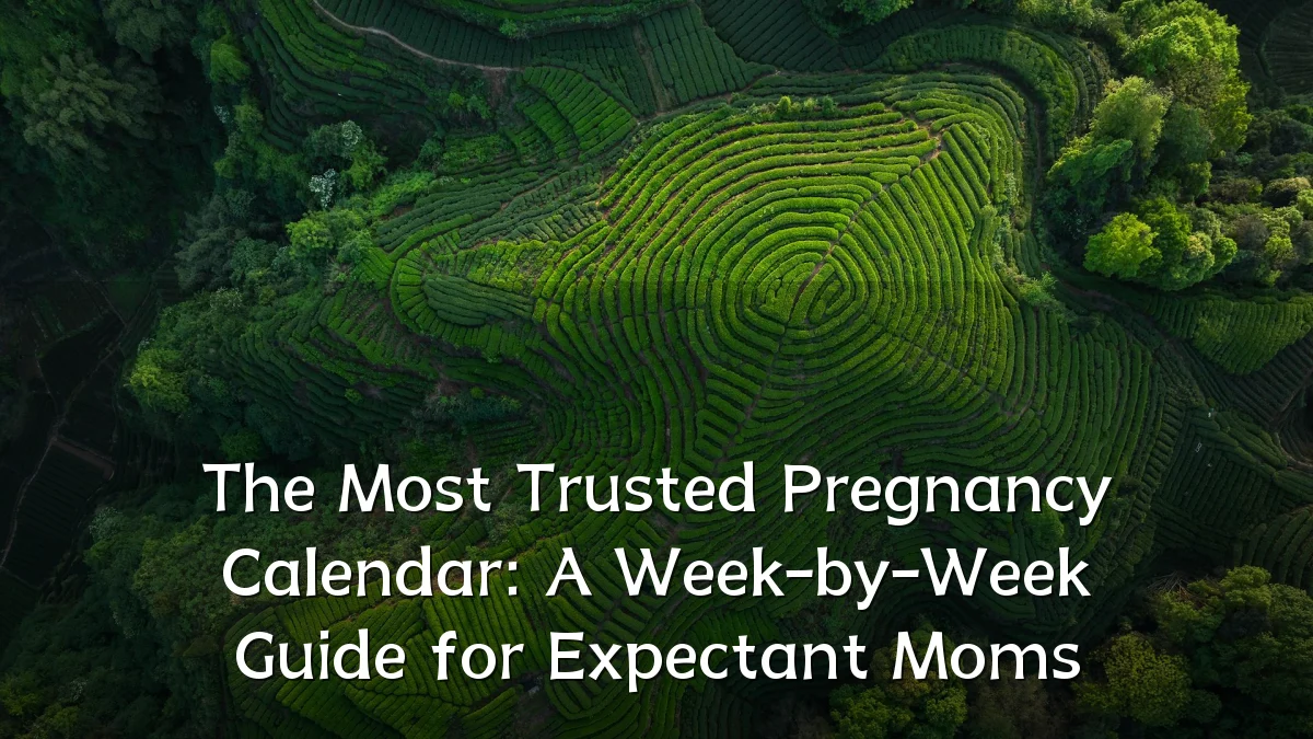 The Most Trusted Pregnancy Calendar: A Week-by-Week Guide for Expectant Moms