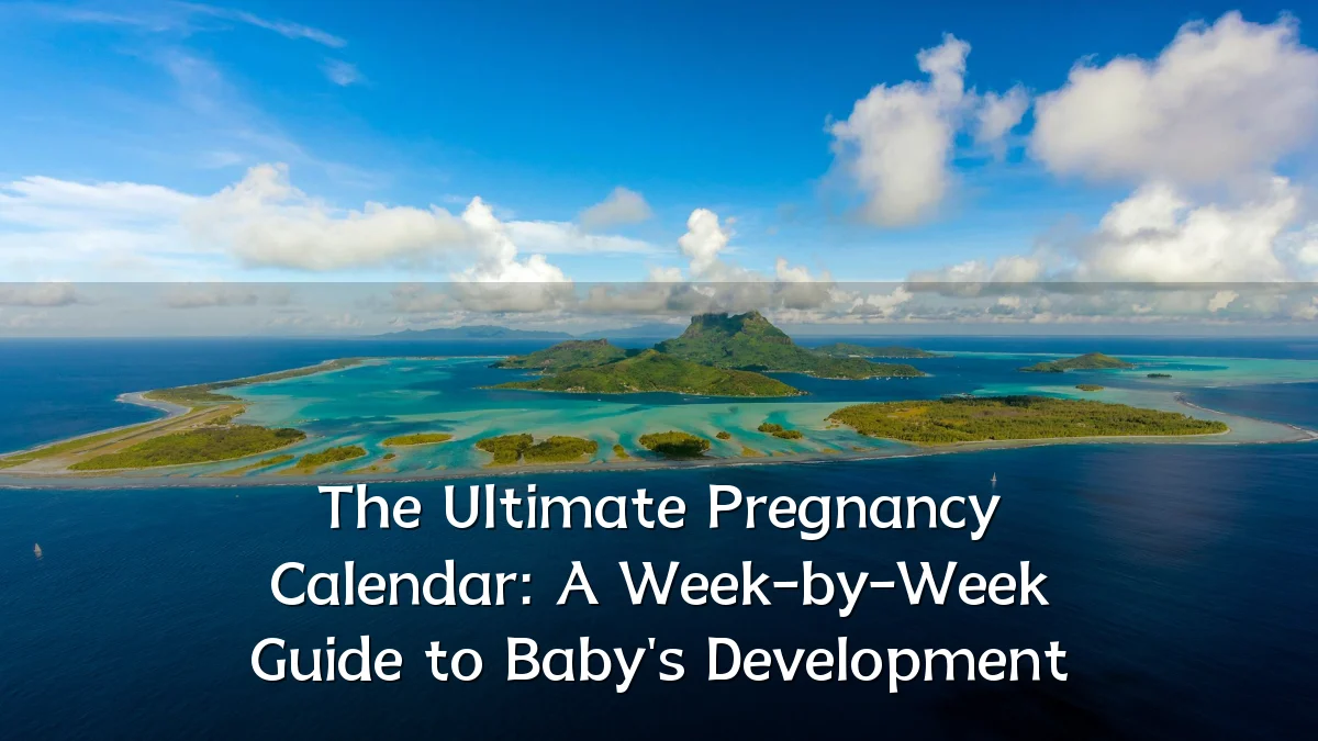 The Ultimate Pregnancy Calendar: A Week-by-Week Guide to Baby's Development