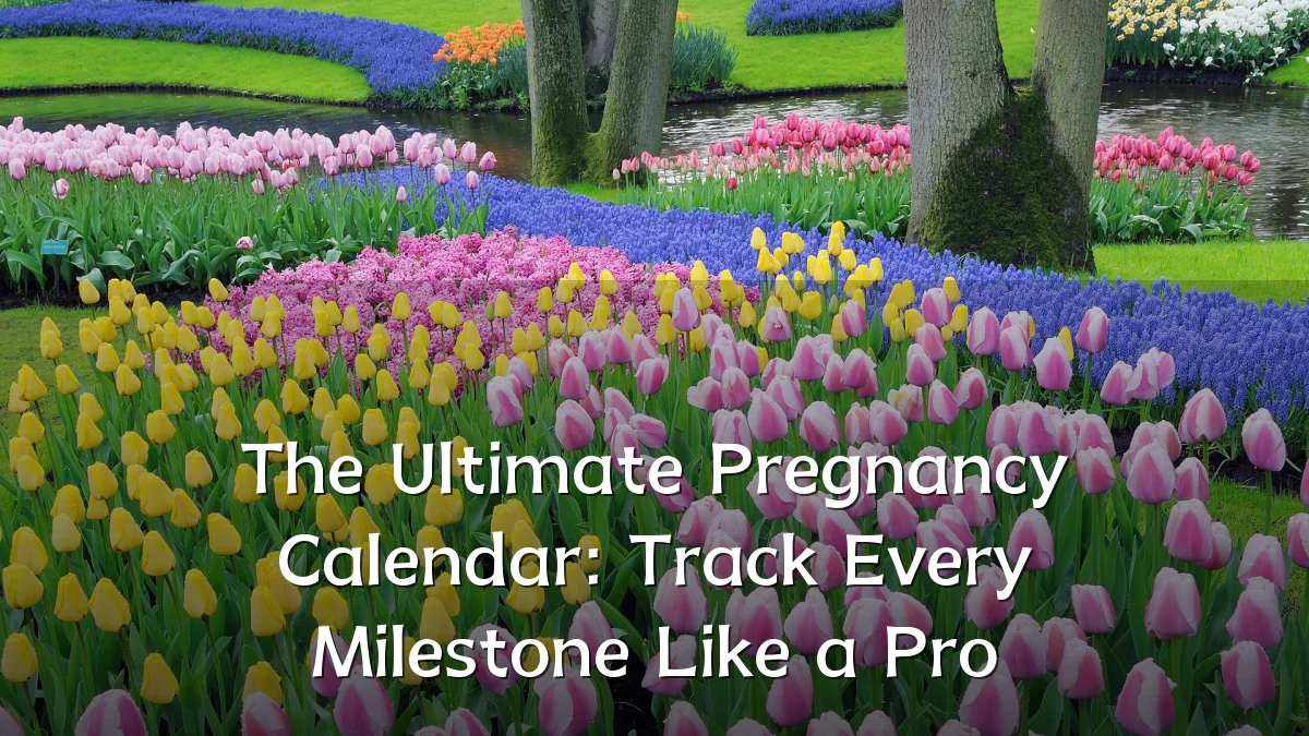 The Ultimate Pregnancy Calendar: Track Every Milestone Like a Pro