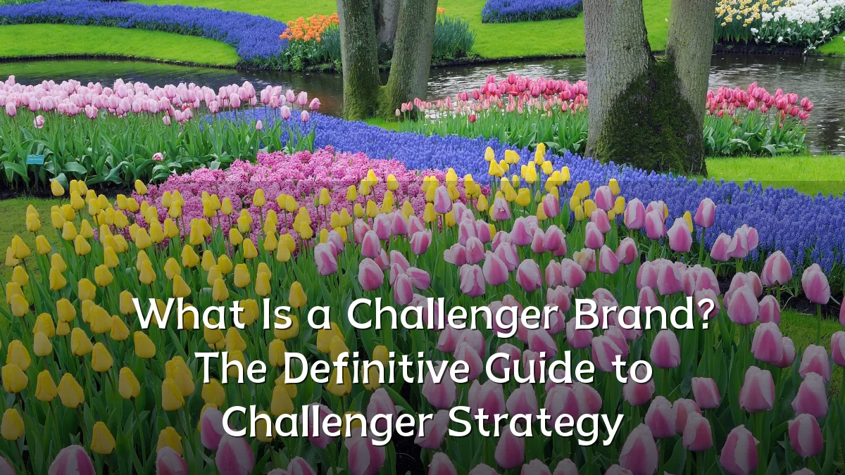 What Is a Challenger Brand? The Definitive Guide to Challenger Strategy