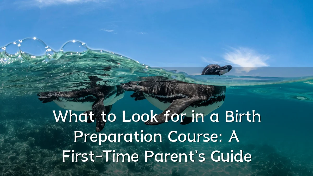 What to Look for in a Birth Preparation Course: A First-Time Parent's Guide