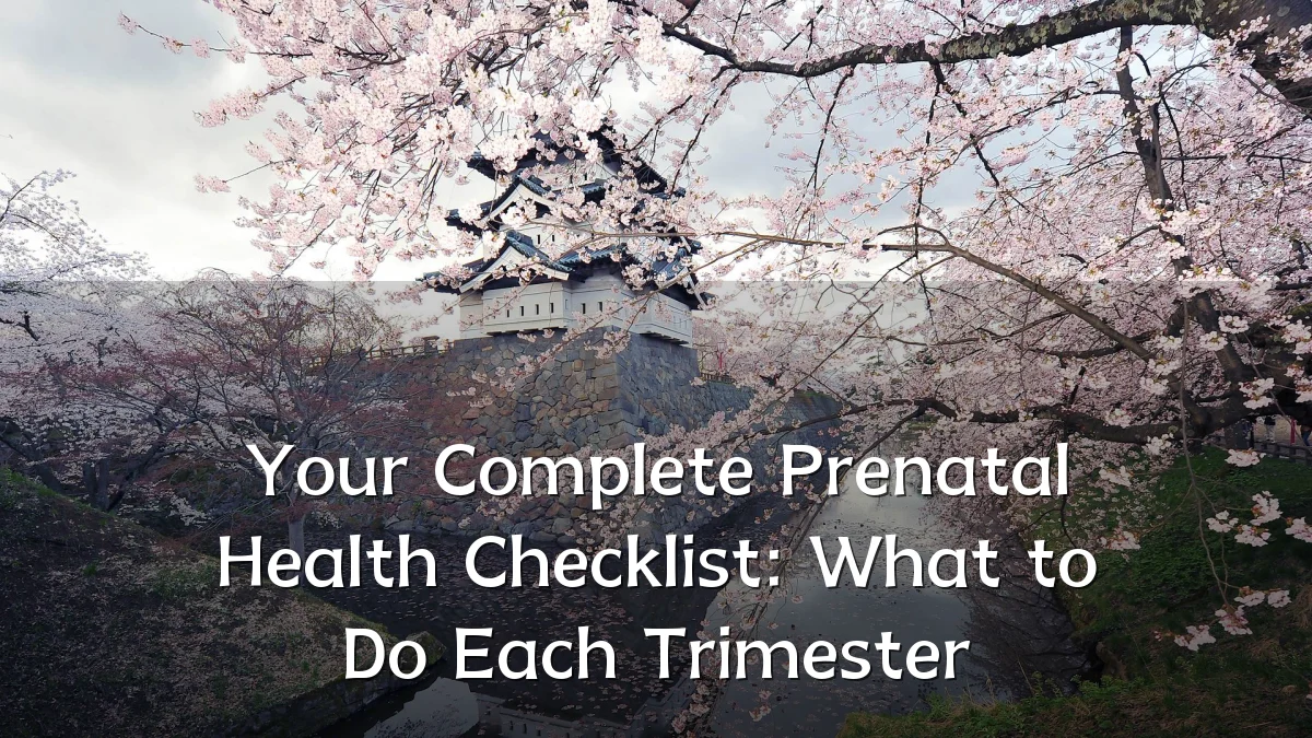 Your Complete Prenatal Health Checklist: What to Do Each Trimester
