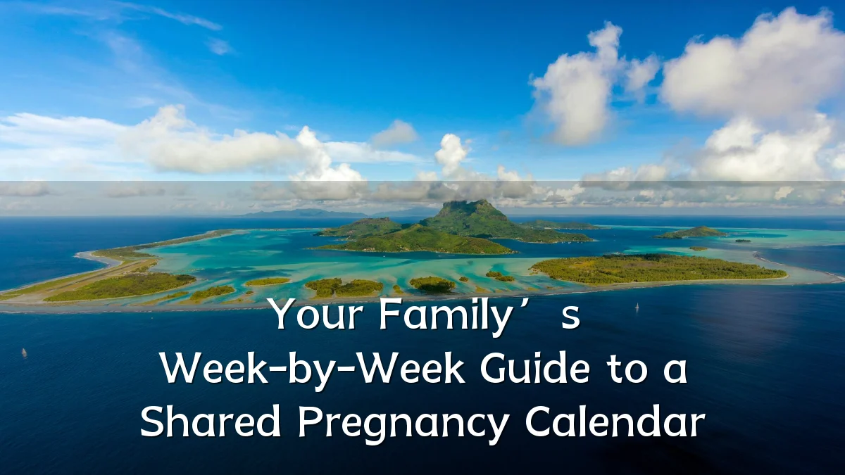 Your Family’s Week-by-Week Guide to a Shared Pregnancy Calendar