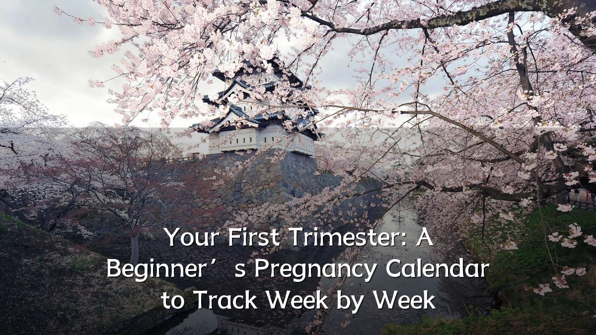Your First Trimester: A Beginner’s Pregnancy Calendar to Track Week by Week