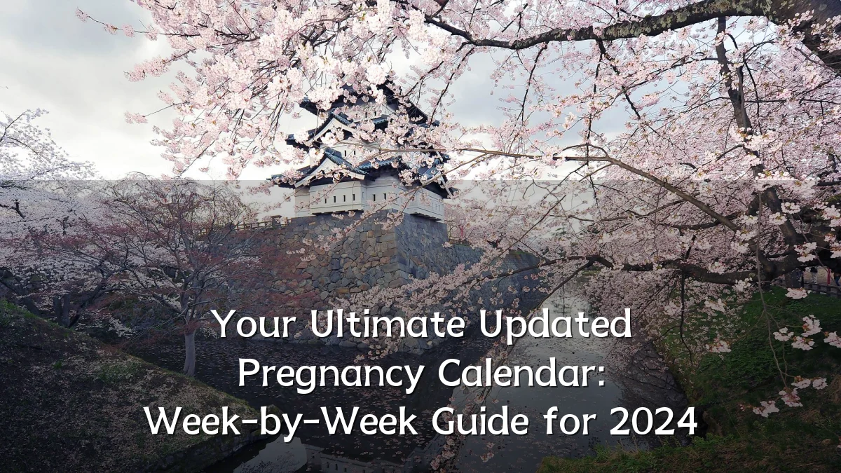 Your Ultimate Updated Pregnancy Calendar: Week-by-Week Guide for 2024