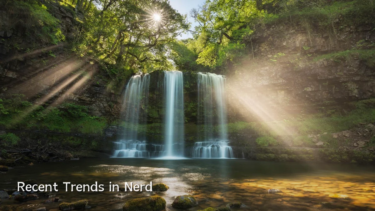 Recent Trends in Nerd