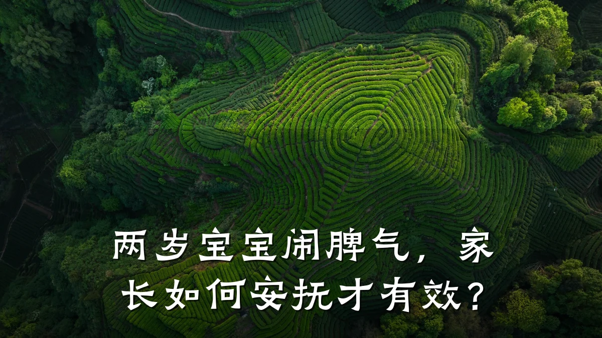 两岁宝宝闹脾气,家长如何安抚才有效?