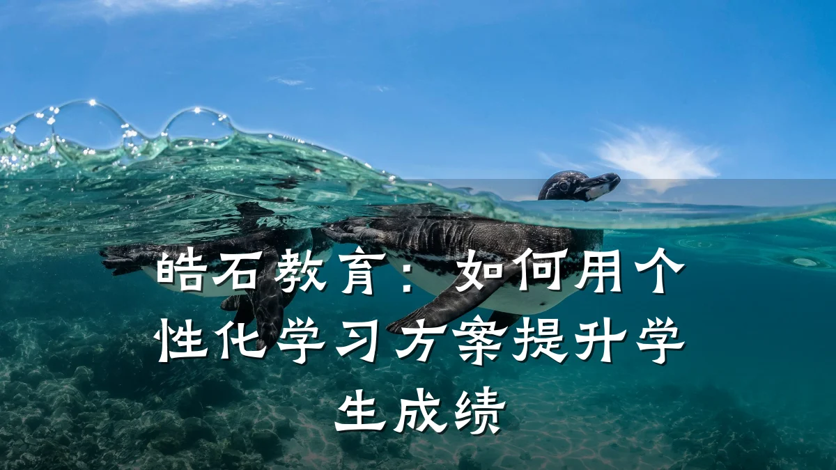 皓石教育：如何用个性化学习方案提升学生成绩